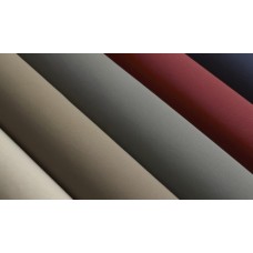 SHAGREEN